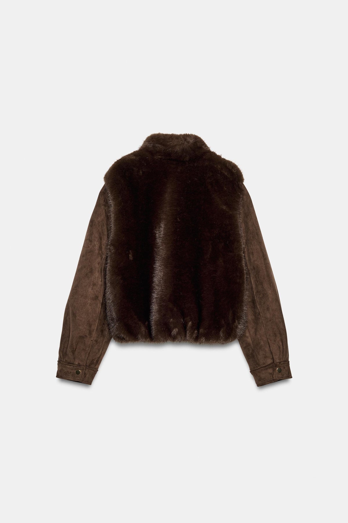 #281c15, Marron